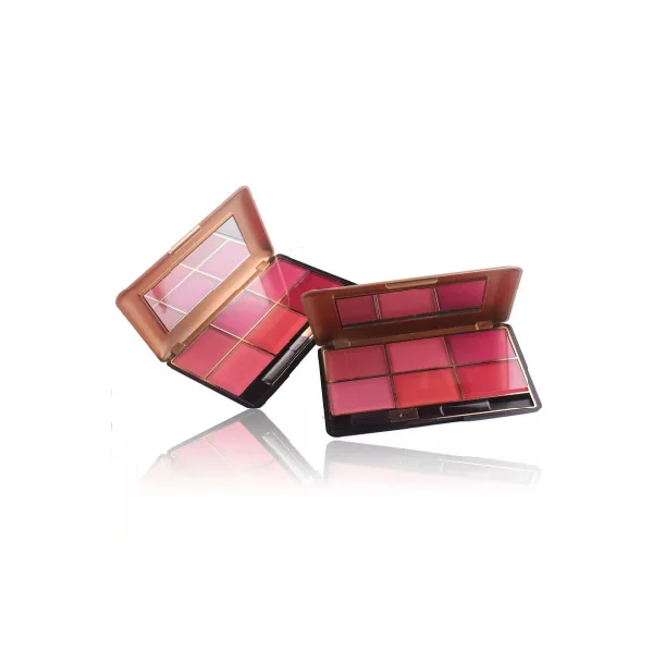 Miss Rose Blush Palette 6 Color with Mirror and Applicator - Image 3