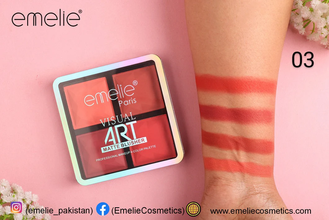 Emelie Visual Art Matte Blusher 4 Color Palette - Image 4