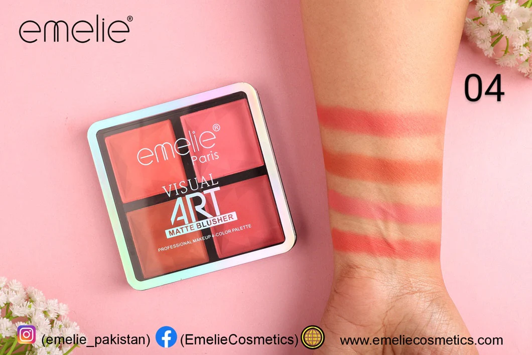 Emelie Visual Art Matte Blusher 4 Color Palette - Image 5
