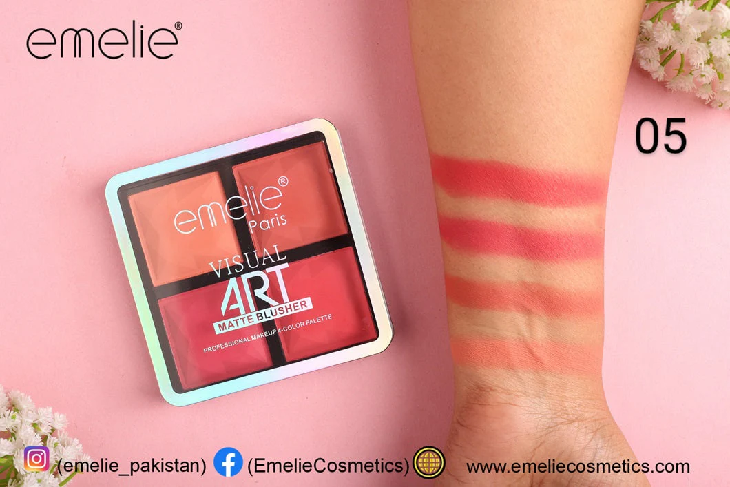 Emelie Visual Art Matte Blusher 4 Color Palette - Image 6