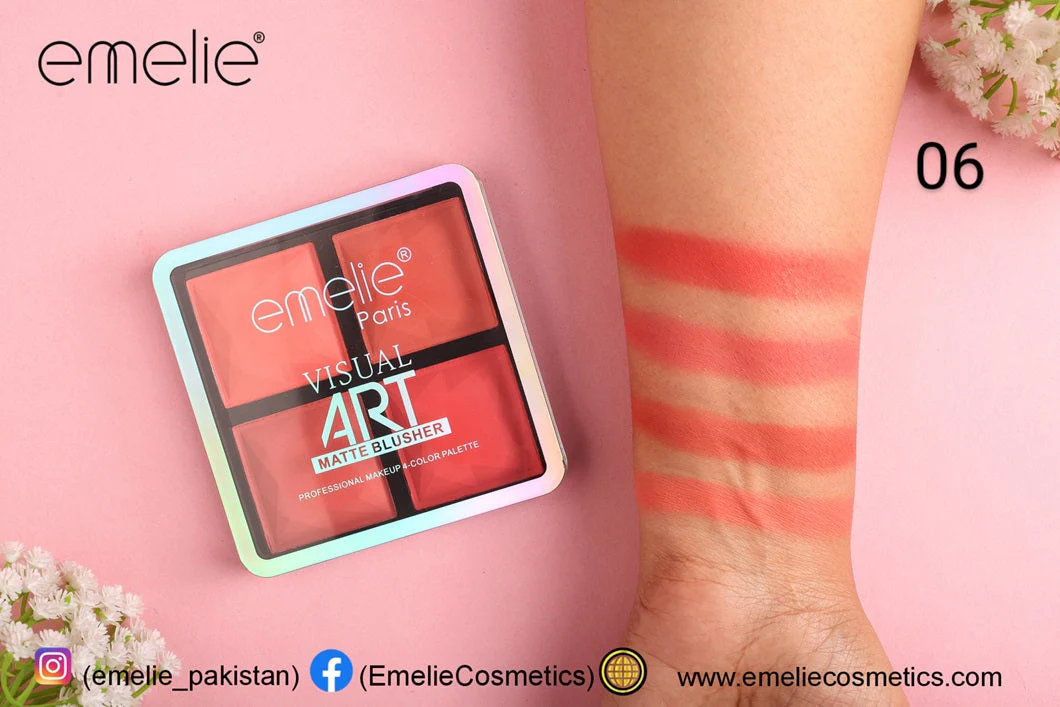Emelie Visual Art Matte Blusher 4 Color Palette - Image 7