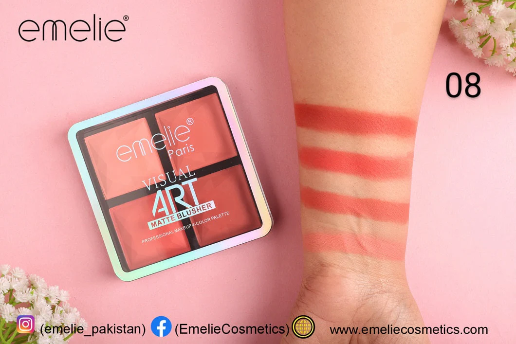Emelie Visual Art Matte Blusher 4 Color Palette - Image 9
